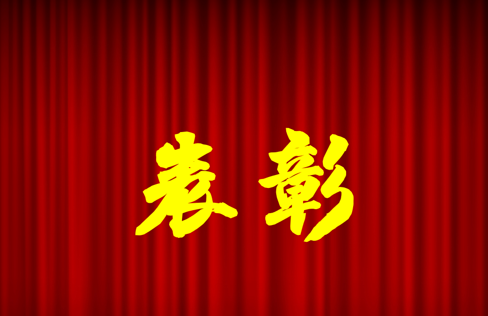 逐光前行、榮耀共鑒 | 公司2024年度表彰來啦！